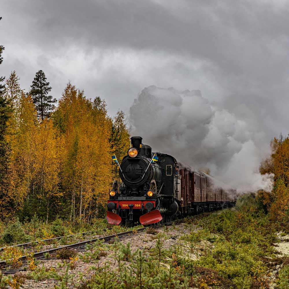 Steam locomotive and true wilderness