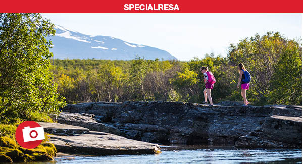 Flj med p fotoresa till Abisko