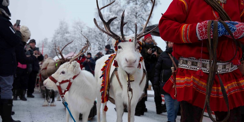 New! Jokkmokk Winter Market