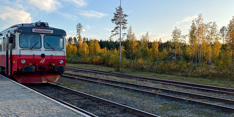 STERSUND - ARVIDSJAUR