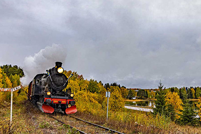 The Wilderness Train Autumn