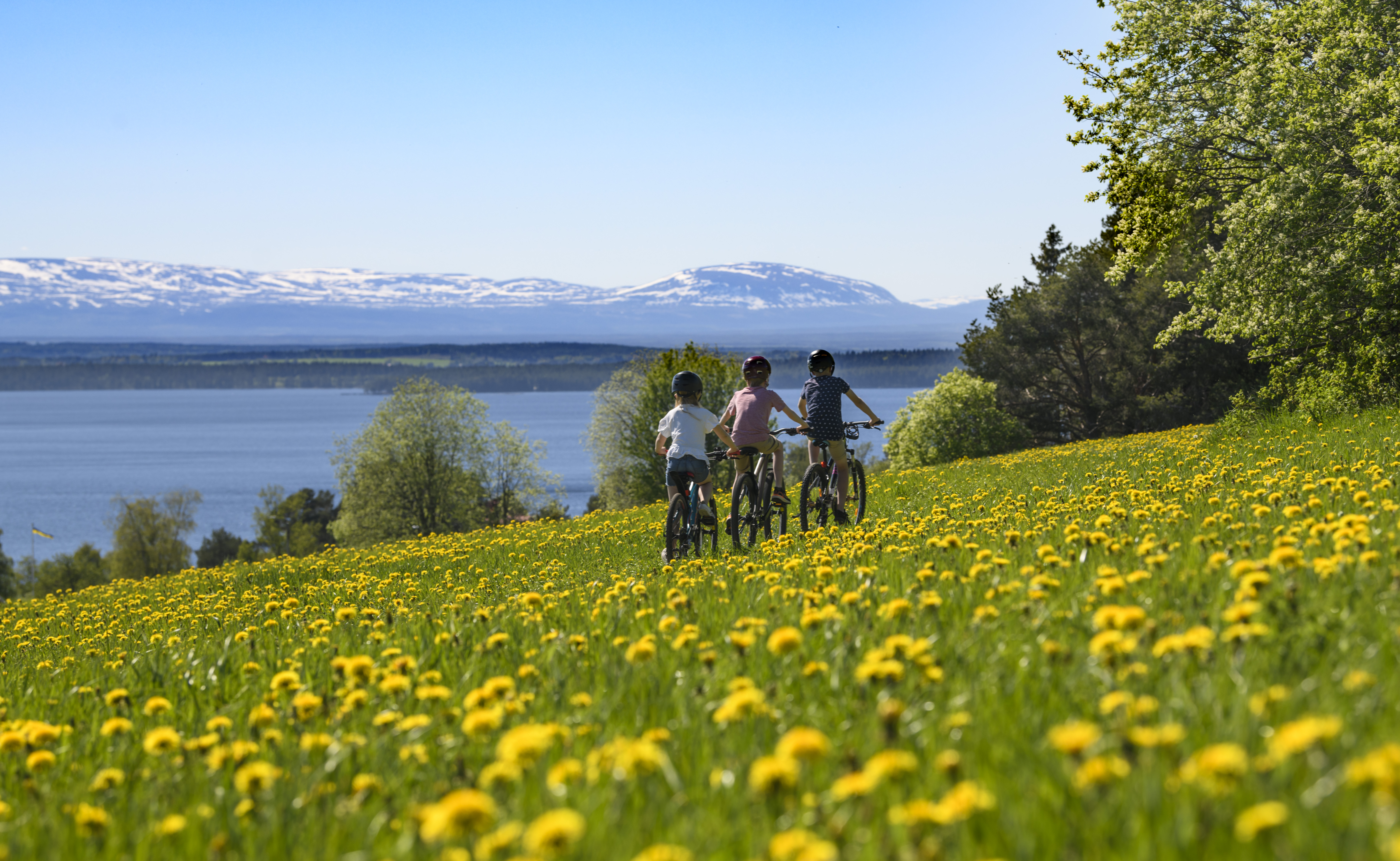 stersund